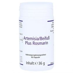 Артемизинин 150 мг капс. 60шт в Первоуральске и области фото