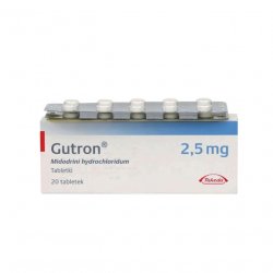 Гутрон таблетки 2,5 мг. №20 в Первоуральске и области фото